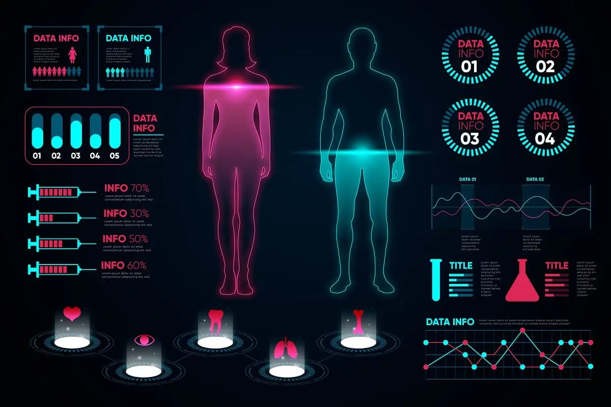 تصویر اجزای بدن در آزمایش Body Composition