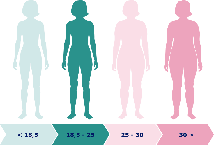 تصویر رده بندی شاخص توده بدنی در 4 گروه (BMI Category)