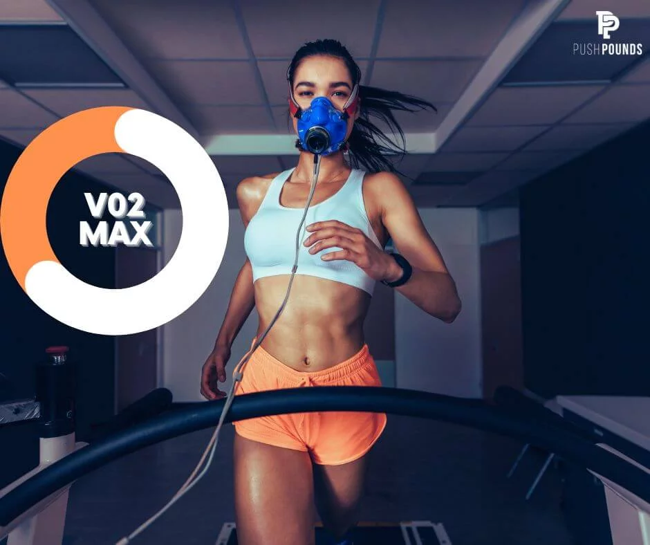 تصویر مقاله : VO2Max یا حداکثر اکسیژن مصرفی چیست ؟